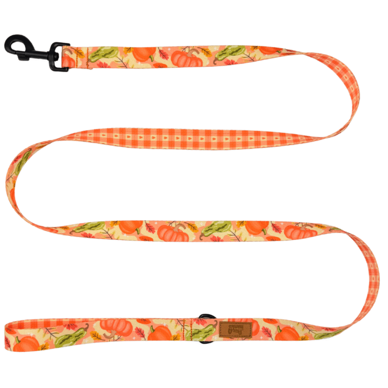 smycz miejska HOA HOA HOA/FALL IN LOVE