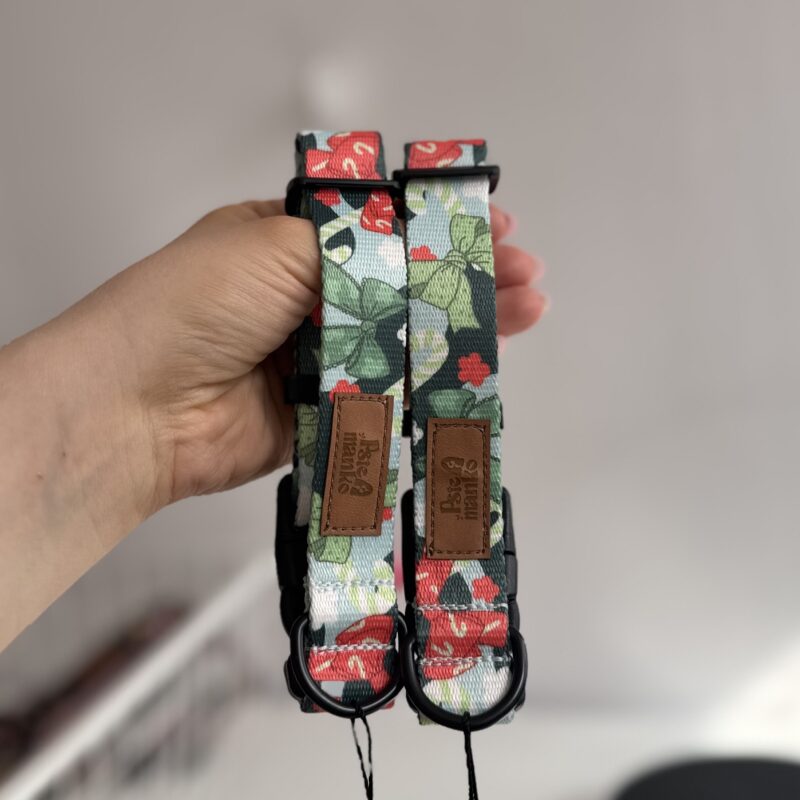 OBROŻA Z KLAMRĄ S 2,5CM HOLLY JOLLY NOWA