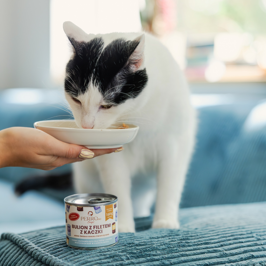 Bulion z filetem z kaczki dla psa i kota PERROland Soups 140g - obrazek 3