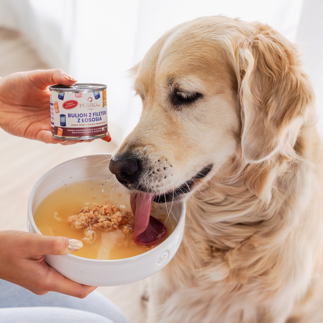 Bulion z filetem z łososia dla psa i kota PERROland Soups 140g - obrazek 3