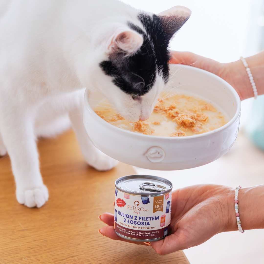 Bulion z filetem z łososia dla psa i kota PERROland Soups 140g - obrazek 4