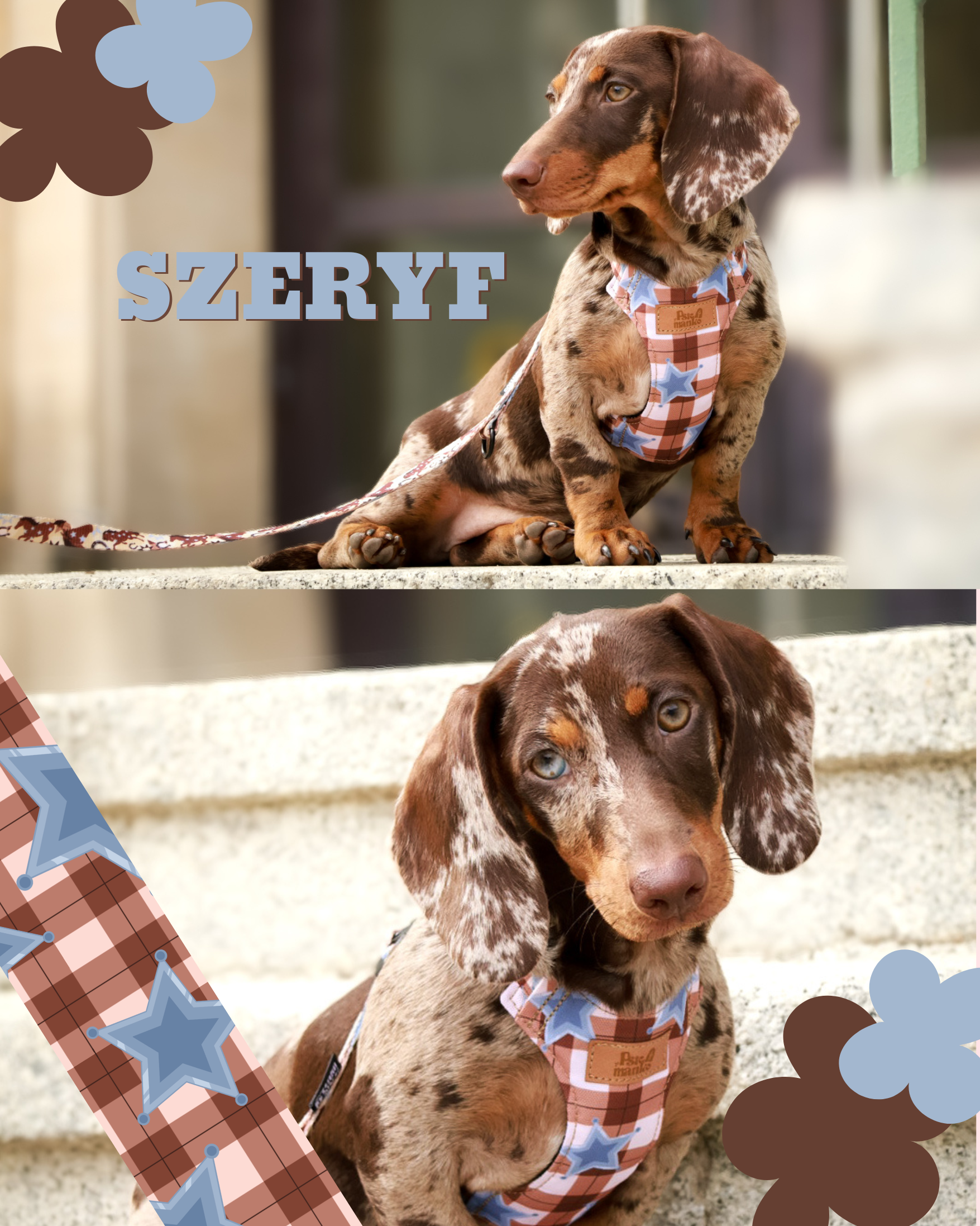 szeryftel